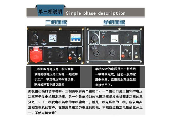 大澤動(dòng)力10kw柴油發(fā)電機(jī)高原裝置