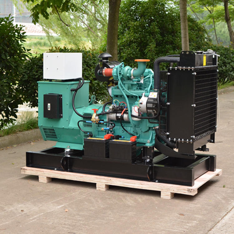大澤動(dòng)力工業(yè)用柴油發(fā)電機(jī)